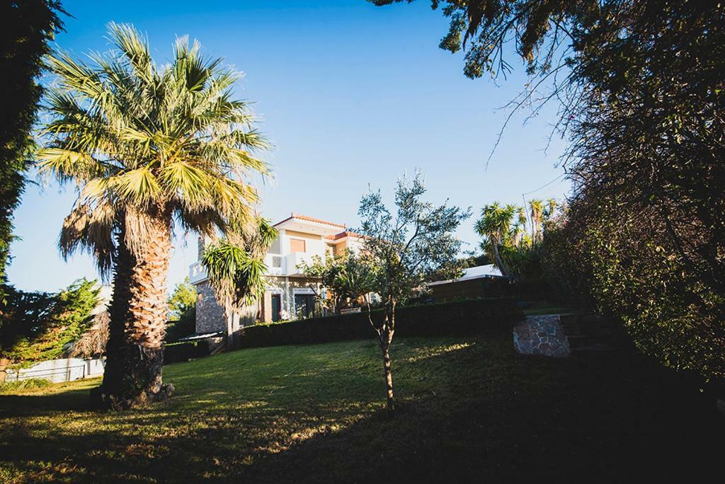 Villa Soula Anavyssos Exterior photo